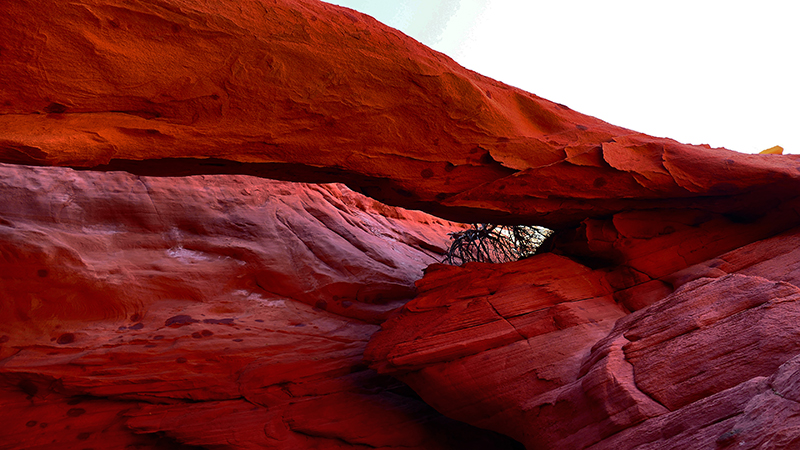 Foxheaven Arch [Coyote Buttes North]