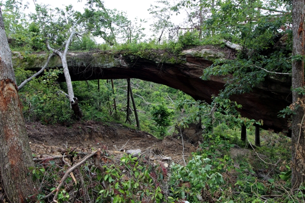 Franklin Cave Arch