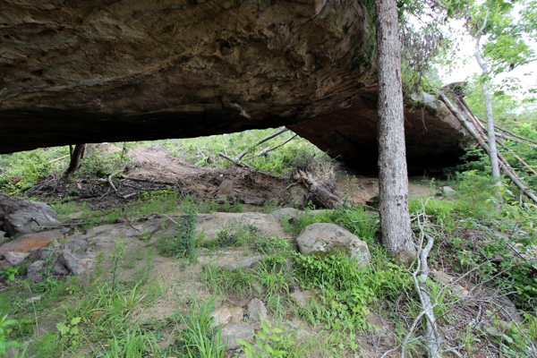 Franklin Cave Arch