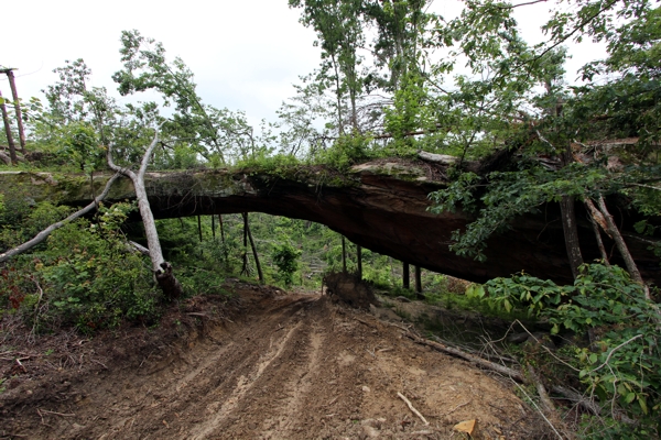 Franklin Cave Arch