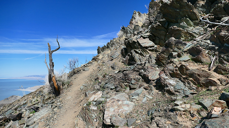 Frary Peak - Antelope Island State Park