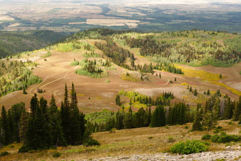 Freds Mountain [Targhee National Forest]