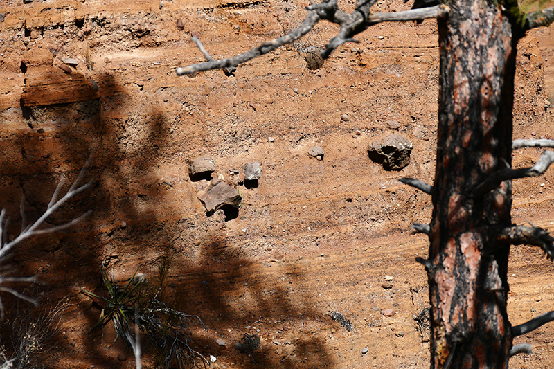 Frijoles Canyon and Falls [Canon de Los Frijoles - Bandelier National Monument]