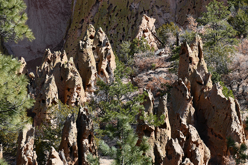 Frijoles Canyon and Falls [Canon de Los Frijoles - Bandelier National Monument]