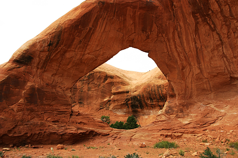 Funnel Arch