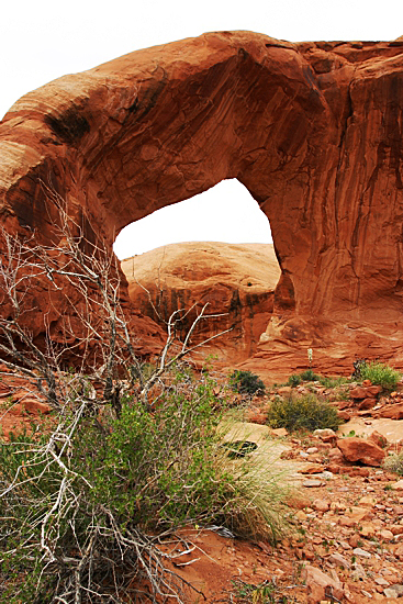 Funnel Arch