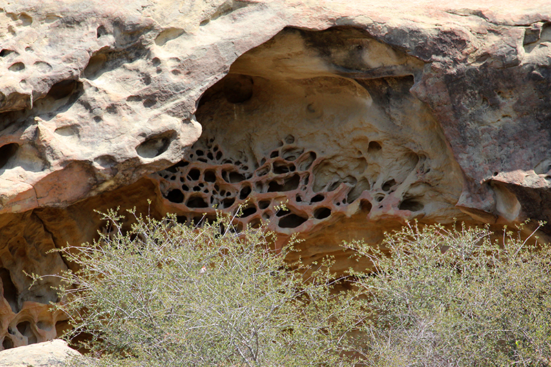 Wind Caves [Gaviota State Park]