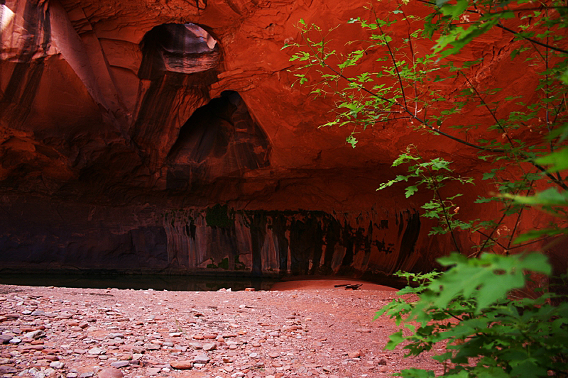 Golden Cathedral [Neon Canyon]