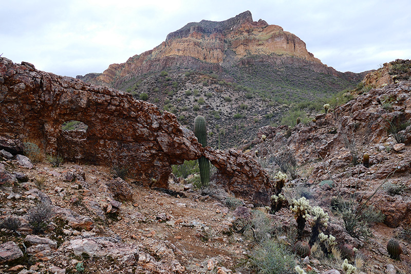 Bulldog Canyon [Goldfield Mountains]