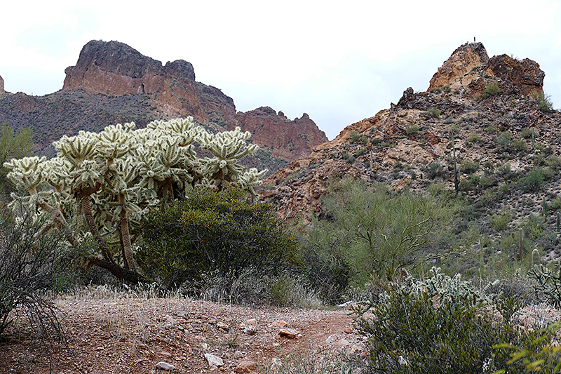 Goldfield Mountains