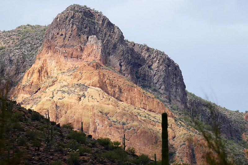 Goldfield Mountains