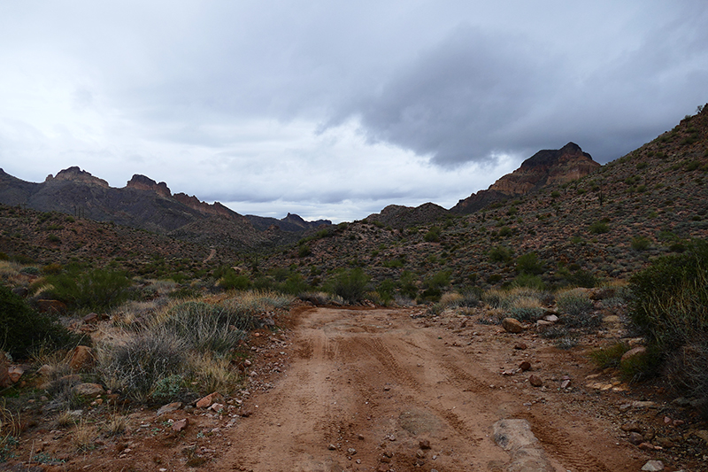 Goldfield Mountains