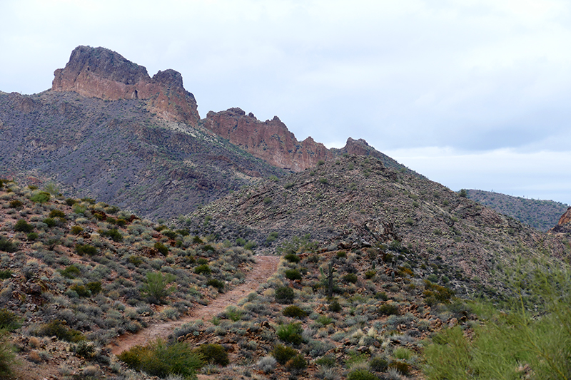 Goldfield Mountains