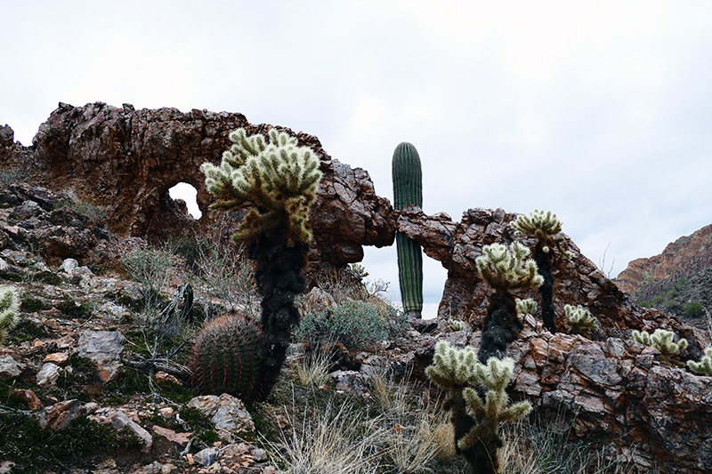 Goldfield Mountains