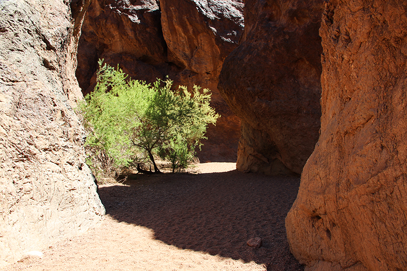 Goldstrike Canyon Las Vegas Nevada