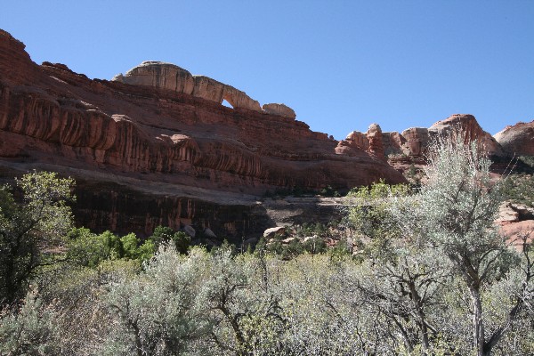 USA Hiking Database: Bilder der Wanderung - Pictures of the hike