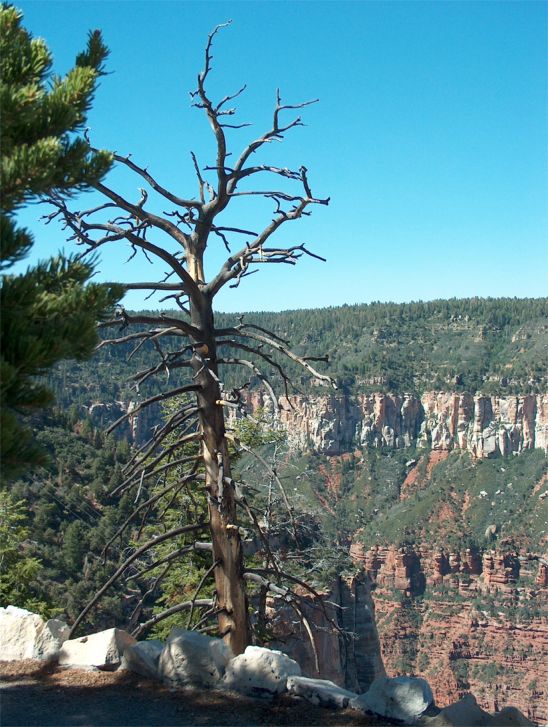 Grand Canyon National Park