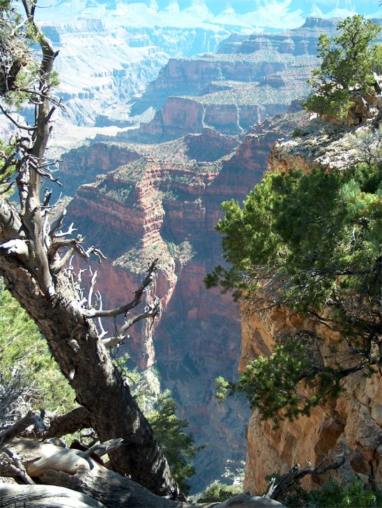 Grand Canyon National Park