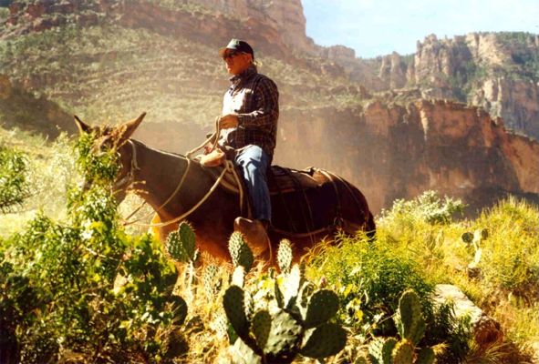 Grand Canyon National Park