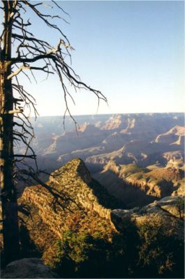 Grand Canyon National Park