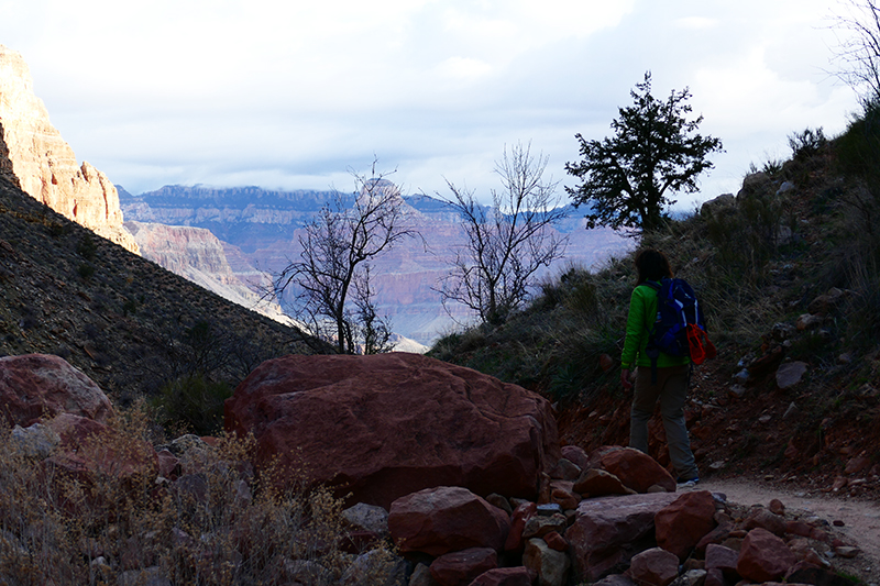 Grand Canyon Trails [Bright Angel - Tonto - Kaibab - River]