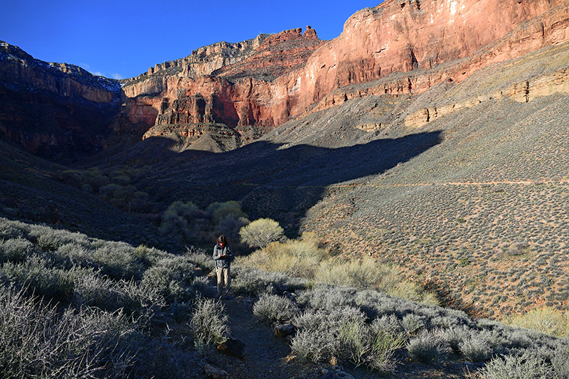 Grand Canyon Trails [Bright Angel - Tonto - Kaibab - River]