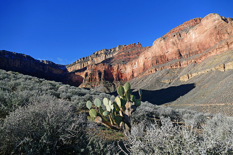 Grand Canyon Trails [Bright Angel - Tonto - Kaibab - River]