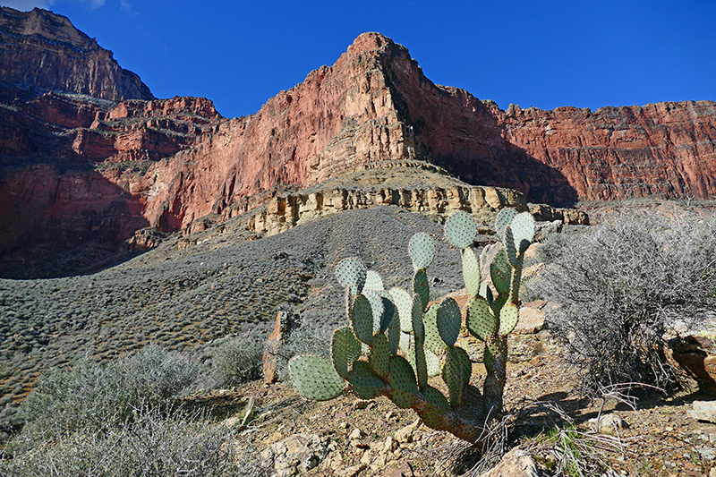 Grand Canyon Tonto Trail