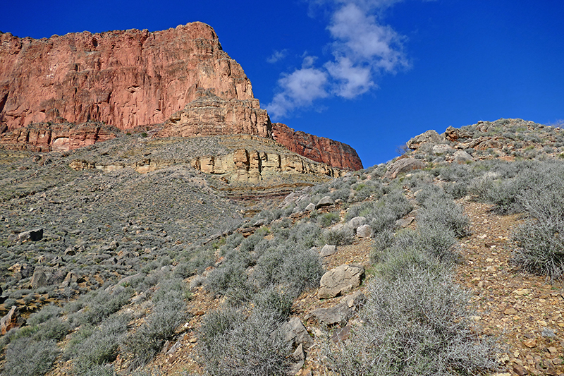 Grand Canyon Trails [Bright Angel - Tonto - Kaibab - River]