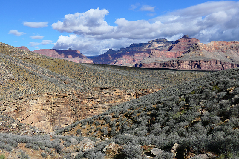 Grand Canyon Trails [Bright Angel - Tonto - Kaibab - River]