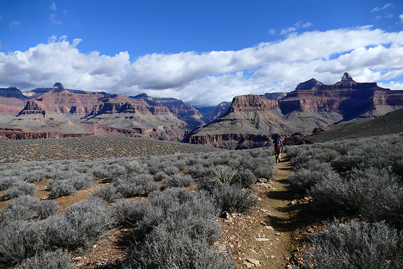 Grand Canyon Trails [Bright Angel - Tonto - Kaibab - River]