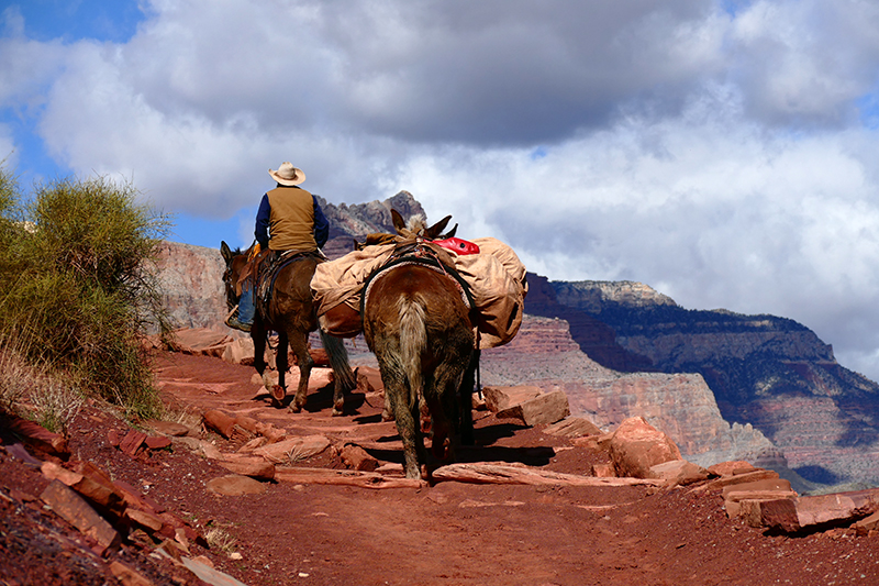 Grand Canyon South Kaibab Trail