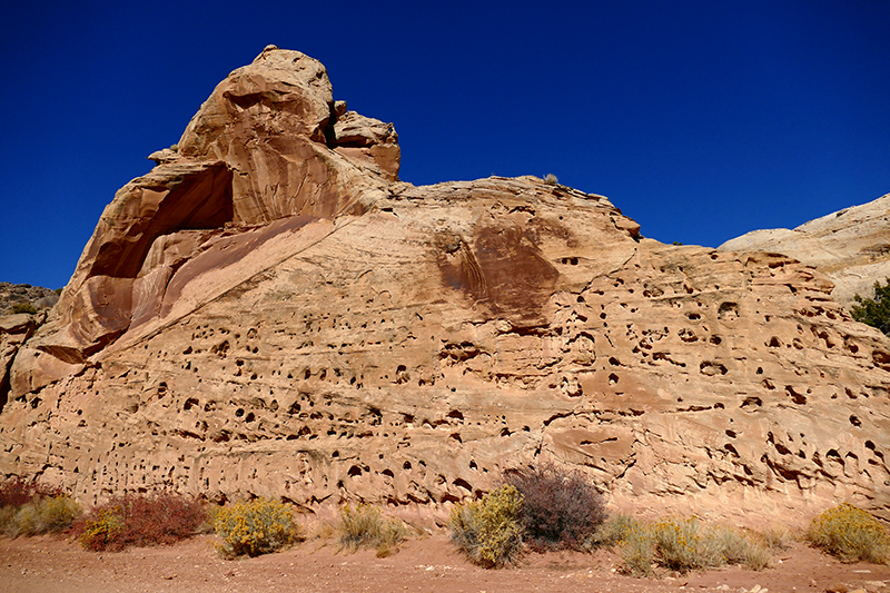 Grand Wash [Capitol Reef National Park]