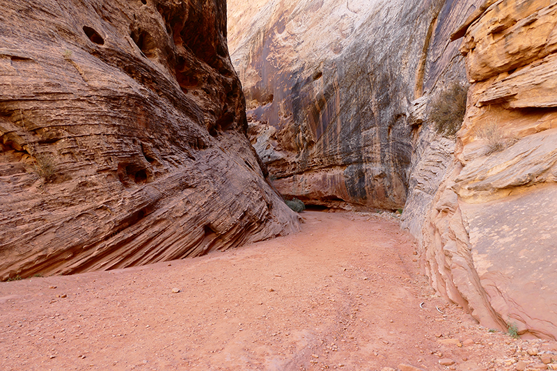 Grand Wash [Capitol Reef National Park]