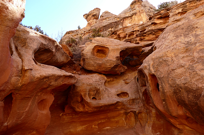 Grand Wash [Capitol Reef National Park]