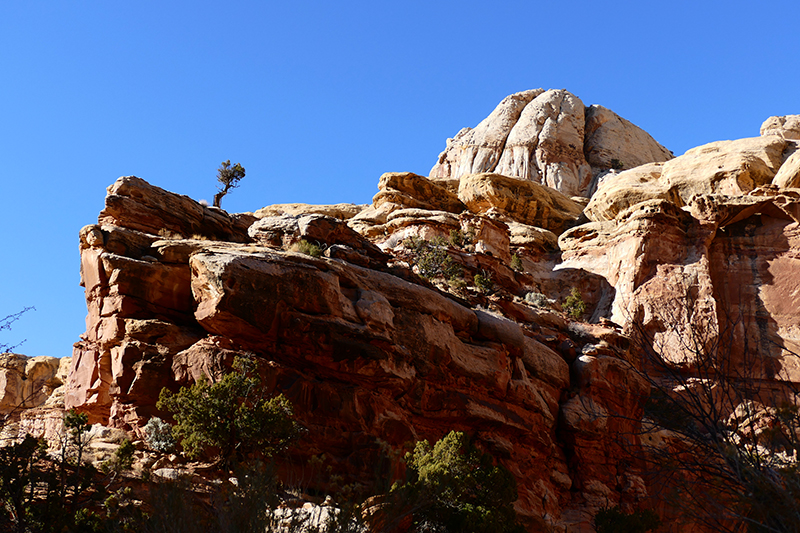 Grand Wash [Capitol Reef National Park]