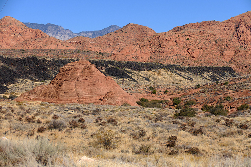 USA Hiking Database: Grapevine Trail [Red Cliffs National Conservation Area]