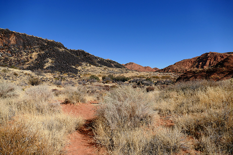 Grapevine Trail [Red Cliffs National Conservation Area]