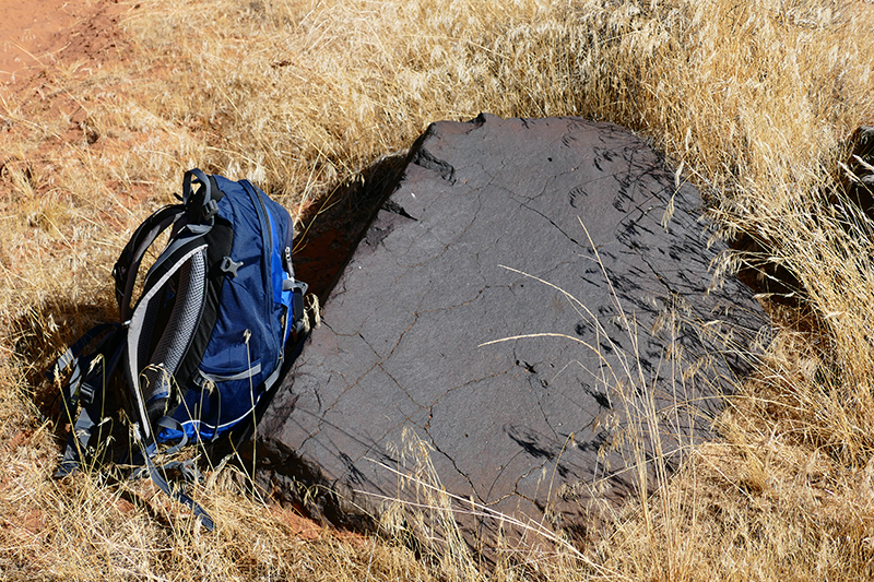 Grapevine Trail [Red Cliffs National Conservation Area]