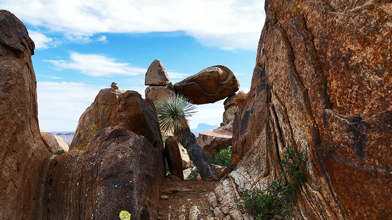 Grapevine Hills [Big Bend National Park]