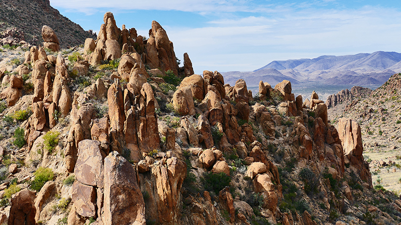 Grapevine Hills [Big Bend National Park]