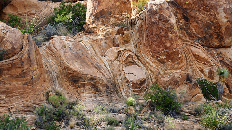 Grapevine Hills [Big Bend National Park]