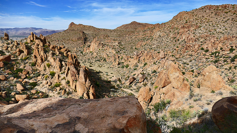 Grapevine Hills [Big Bend National Park]