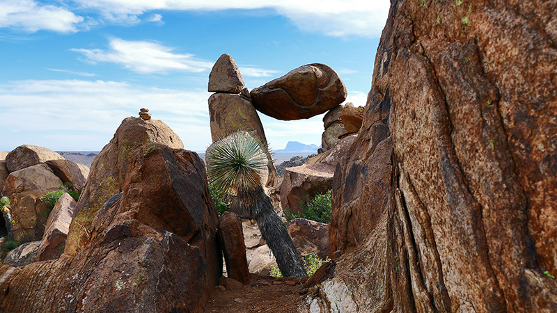 Grapevine Hills [Big Bend National Park]