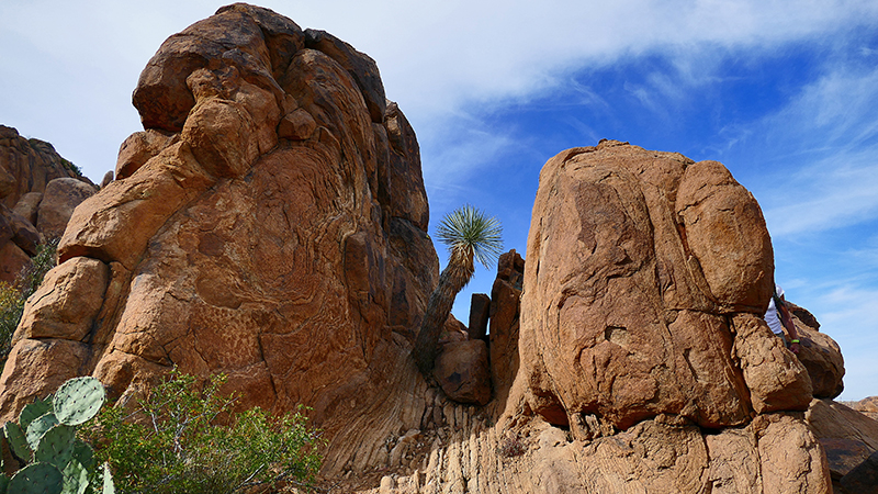 Grapevine Hills [Big Bend National Park]