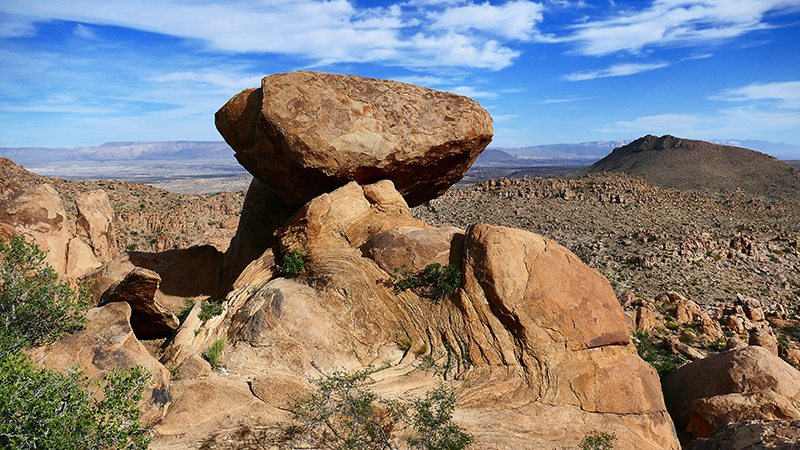 Grapevine Hills [Big Bend National Park]