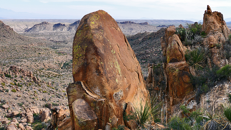 Grapevine Hills [Big Bend National Park]