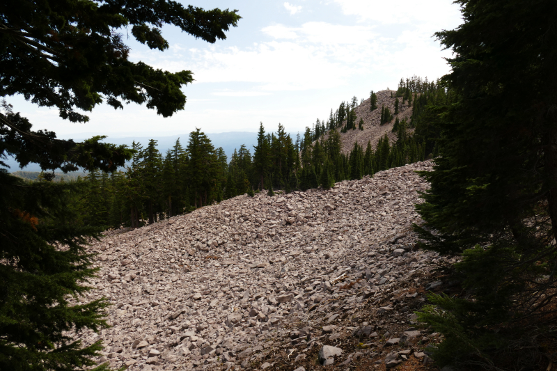 Mount Shasta - Gray Butte