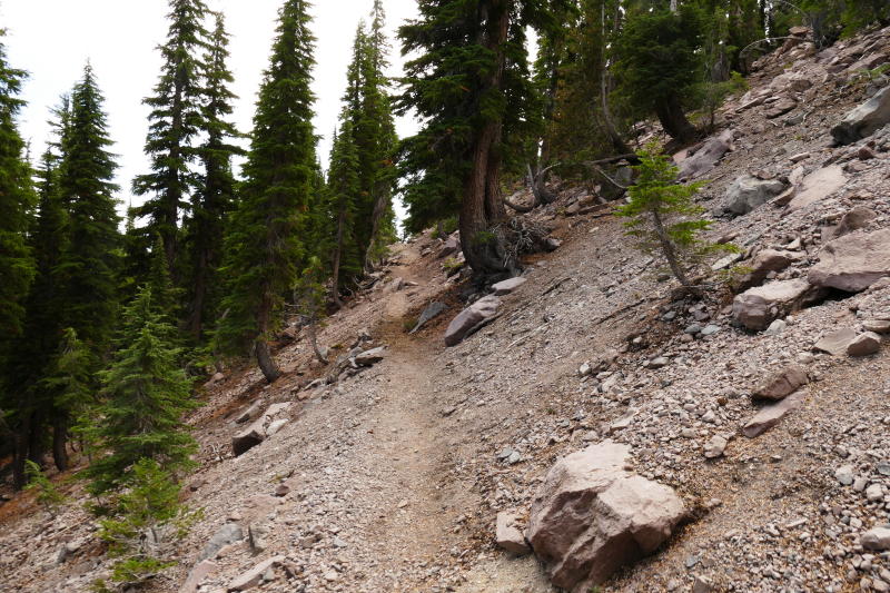 Bild Mount Shasta - Gray Butte Trail