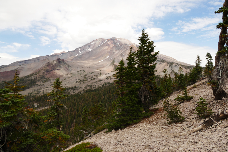 Mount Shasta - Gray Butte